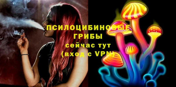 бутират Алзамай